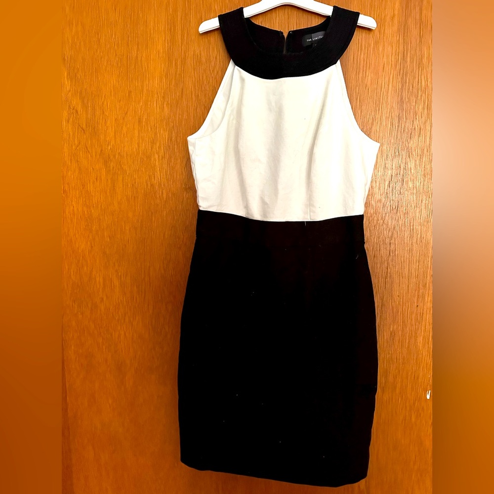 The Limited Dress